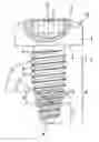 Fig. 01 - Thread-forming screw