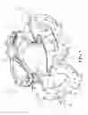 Fig. 02 - Rod-mounted buffer to cushion check valve closure