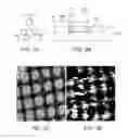 Fig. 06 - Capture Probe