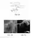 Fig. 07 - Capture Probe