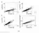 Fig. 06 - Method for determining a hydrodynamic size of an object