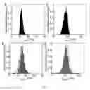 Fig. 08 - Method for determining a hydrodynamic size of an object