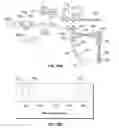 Fig. 18 - Systems and methods for oblique laser scanning
