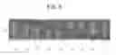 Fig. 08 - Radiographic image generating device