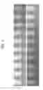 Fig. 09 - Radiographic image generating device