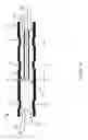 Fig. 07 - Strain induced face seal