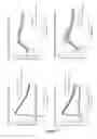 Fig. 06 - High throughput and functional screening method for muscle related disorders and biological processes