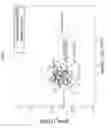Fig. 06 - BIOMARKERS FOR DETECTION OF TUBERCULOSIS RISK