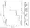 Fig. 07 - BIOMARKERS FOR DETECTION OF TUBERCULOSIS RISK