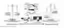 Fig. 01 - Regulatory T-cells, method for their isolation and uses