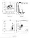 Fig. 02 - Regulatory T-cells, method for their isolation and uses