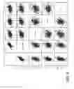 Fig. 04 - METHODS OF DETECTING AND QUANTIFYING IL-13 AND USES IN DIAGNOSING AND TREATING TH2-ASSOCIATED DISEASES