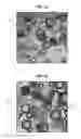Fig. 09 - Method for analyzing the activity of an ion channel