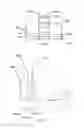 Fig. 13 - Apparatus for improving magnetic resonance imaging
