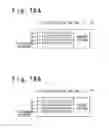 Fig. 17 - RADIATION MEASURING APPARATUS AND RADIATION MEASURING METHOD
