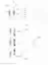 Fig. 05 - Near eye display device and method