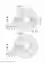 Fig. 07 - OPTICAL FIBER, OPTICAL SYSTEM, AND METHOD FOR PRODUCING OPTICAL FIBER