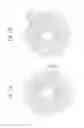 Fig. 17 - OPTICAL FIBER, OPTICAL SYSTEM, AND METHOD FOR PRODUCING OPTICAL FIBER