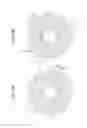 Fig. 18 - OPTICAL FIBER, OPTICAL SYSTEM, AND METHOD FOR PRODUCING OPTICAL FIBER