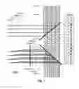 Fig. 08 - Waveguide architecture for photonic neural component