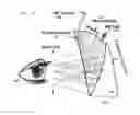 Fig. 01 - Light weight display glasses