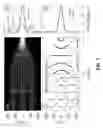 Fig. 08 - Managing electromagnetic field propagation in gradient-index media