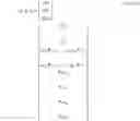 Fig. 22 - Determining control actions of decision modules