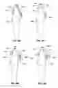 Fig. 08 - Systems and methods for tracking teeth movement during orthodontic treatment