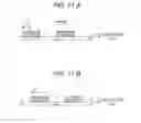 Fig. 09 - PROGRAM, COMPUTER APPARATUS, PROGRAM EXECUTION METHOD, AND, COMPUTER SYSTEM