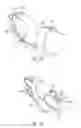 Fig. 14 - Dynamically balanced, multi-degrees-of-freedom hand controller