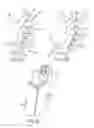 Fig. 23 - Dynamically balanced, multi-degrees-of-freedom hand controller