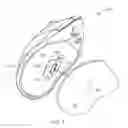 Fig. 06 - Input device with track ball