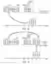 Fig. 07 - Method and system to discover and manage distributed applications in virtualization environments