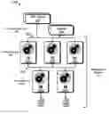 Fig. 01 - Table partitioning within distributed database systems