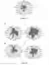 Fig. 23 - Method for identifying personalized therapeutic strategies for patients affected with a cancer