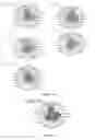 Fig. 33 - Method for identifying personalized therapeutic strategies for patients affected with a cancer