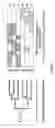Fig. 14 - PRODUCT AUTHENTICATION AND TRACKING