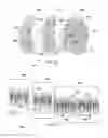 Fig. 07 - Systems and methods for securely transmitting large data files
