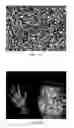 Fig. 04 - Structured light depth imaging under various lighting conditions