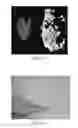 Fig. 09 - Structured light depth imaging under various lighting conditions