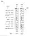 Fig. 01 - CONVOLUTIONAL NEURAL NETWORK ON ANALOG NEURAL NETWORK CHIP