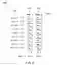 Fig. 03 - CONVOLUTIONAL NEURAL NETWORK ON ANALOG NEURAL NETWORK CHIP