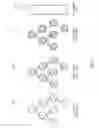 Fig. 04 - OPTIMIZING TREE-BASED CONVOLUTIONAL NEURAL NETWORKS