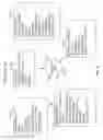 Fig. 09 - IDENTIFICATION OF DECISION BIAS WITH ARTIFICIAL INTELLIGENCE PROGRAM