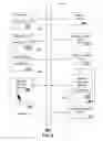 Fig. 06 - APPARATUS AND METHOD FOR ANALYZING ENCRYPTED PURCHASING DATA