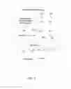 Fig. 06 - Systems and methods for facilitating a transaction relating to newly identified items using augmented reality