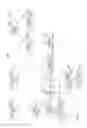 Fig. 02 - Apparatus and method for estimating position of image capturing unit