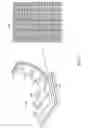 Fig. 03 - Contractile function measuring devices, systems, and methods of use thereof