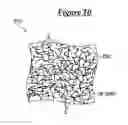Fig. 09 - PROTECTIVE MEMBER, PROTECTIVE MEMBER-ATTACHED WIRE, AND PROTECTIVE MEMBER MANUFACTURING METHOD