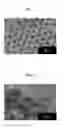 Fig. 02 - Core-shell particle and manufacturing method and fired product of the same, epsilon type iron oxide compound particle and manufacturing method of the same, and magnetic recording medium and manufacturing method of the same